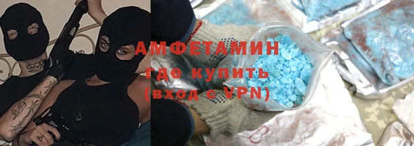 ГАЛЛЮЦИНОГЕННЫЕ ГРИБЫ Богданович