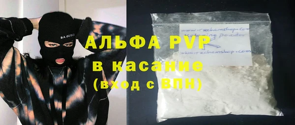 ГАЛЛЮЦИНОГЕННЫЕ ГРИБЫ Богданович