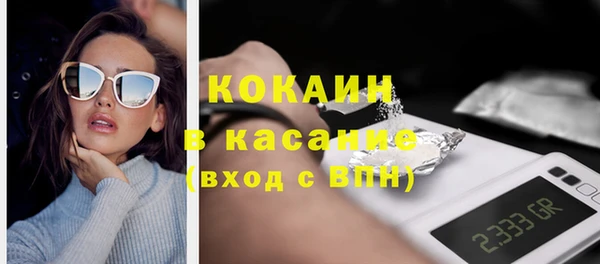 ГАЛЛЮЦИНОГЕННЫЕ ГРИБЫ Богданович