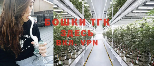 ГАЛЛЮЦИНОГЕННЫЕ ГРИБЫ Богданович