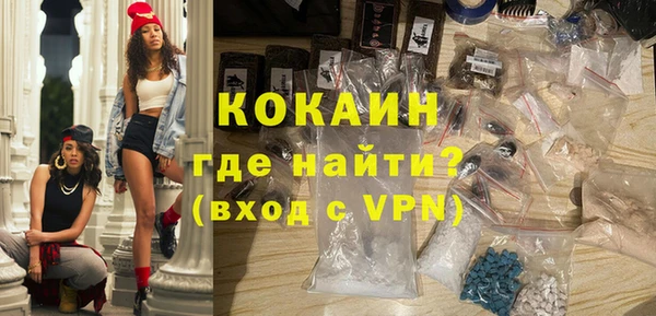 ГАЛЛЮЦИНОГЕННЫЕ ГРИБЫ Богданович