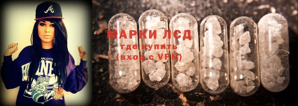 ГАЛЛЮЦИНОГЕННЫЕ ГРИБЫ Богданович