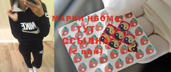 ГАЛЛЮЦИНОГЕННЫЕ ГРИБЫ Богданович