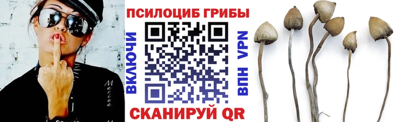 даркнет как зайти  Великий Устюг  Галлюциногенные грибы мицелий  где можно купить наркотик 